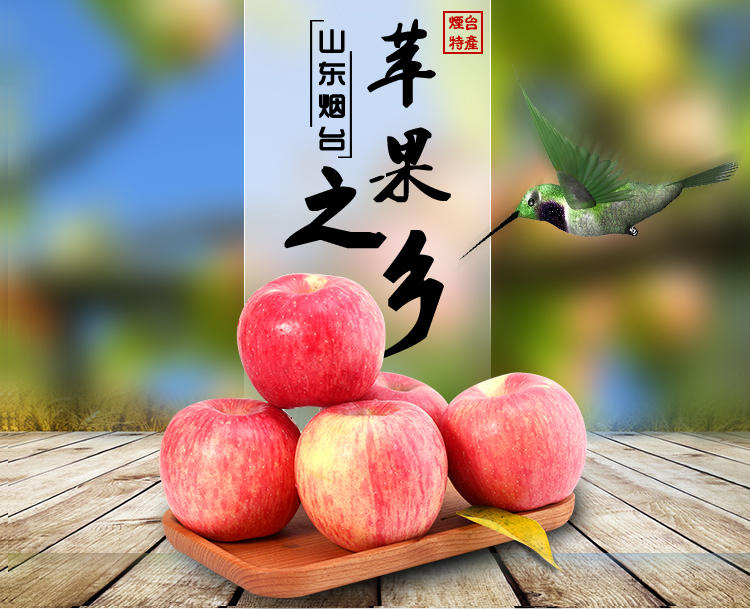 (12479129)̨ 츻ʿ 85 Ʒػ һ5 9-10װ 