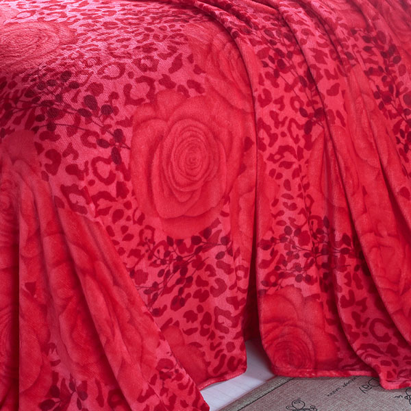 兰薇儿 5中花型 法莱绒印花毯子保暖床单 200x
